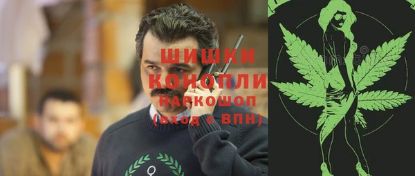 шишки Нягань