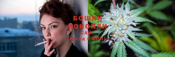 шишки Нягань