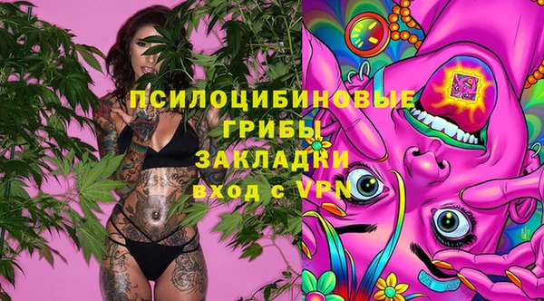 гидропоника Няндома
