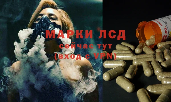 гидропоника Няндома