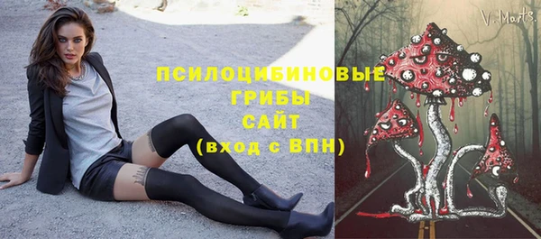 гидропоника Няндома