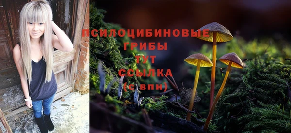трава Нязепетровск