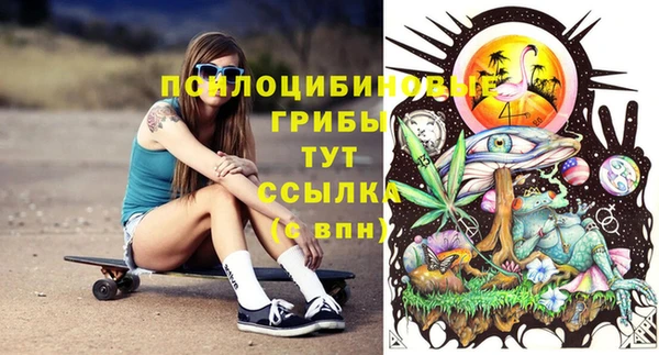 тгк Алзамай