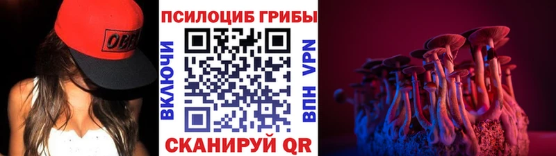 купить наркотик  MEGA как войти  Псилоцибиновые грибы GOLDEN TEACHER  Карталы 