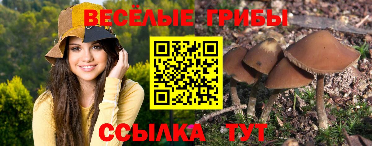 Карталы  Псилоцибиновые грибы мухоморы  Вход с VPN  Галлюциногенные грибы Psilocybine cubensis 